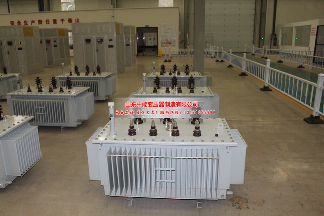 柳城S20变压器